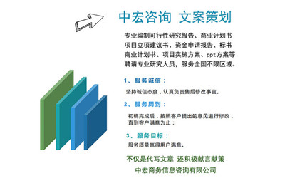 新能源项目商业计划书代写制作与咨询策划服务 打造专业蓝图，赋能绿色未来
